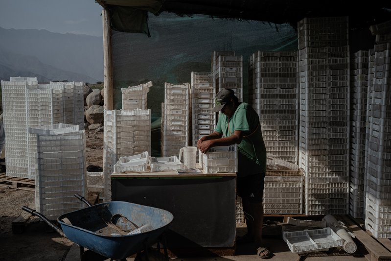 18d0bfb5-c7ad-4f6f-941e-4b07fa9b3fe6