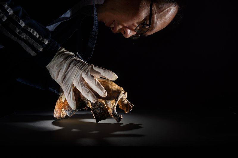 b34508e3-ee4e-44b8-bb31-f5638113e392