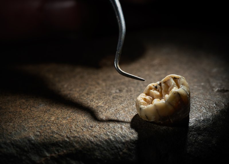 a1b56f33-c33f-4c2e-85e0-6a88ee09997b