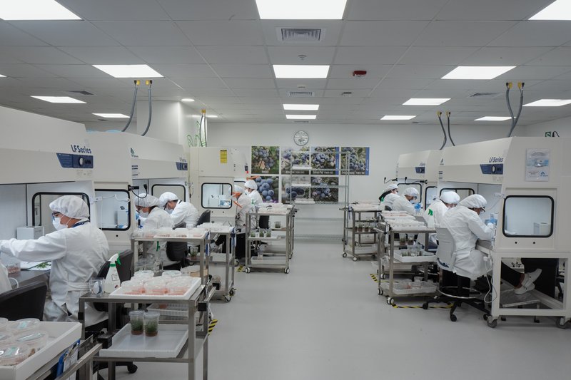 ae49f00f-3b2f-42bc-85dc-295b9c5294c7