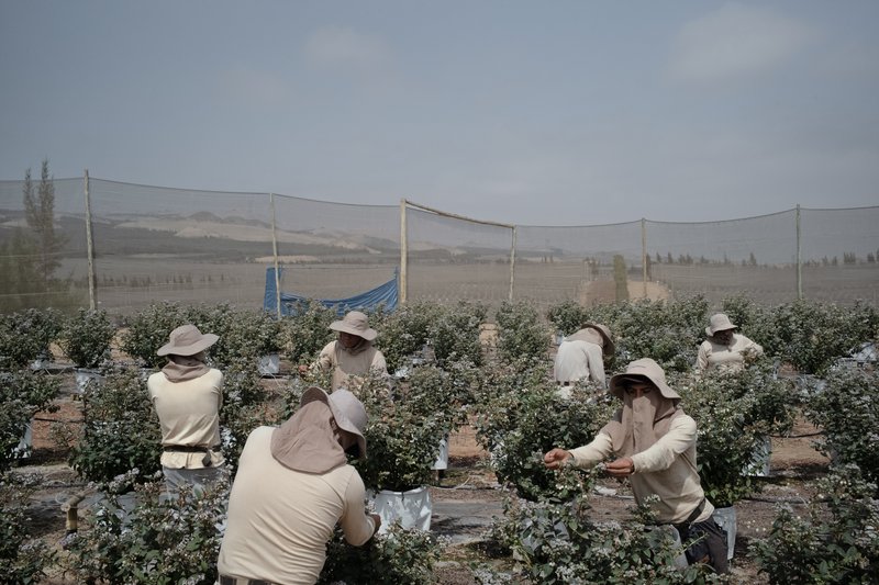 b647d067-df6a-43ea-aa5a-4539c228c2aa