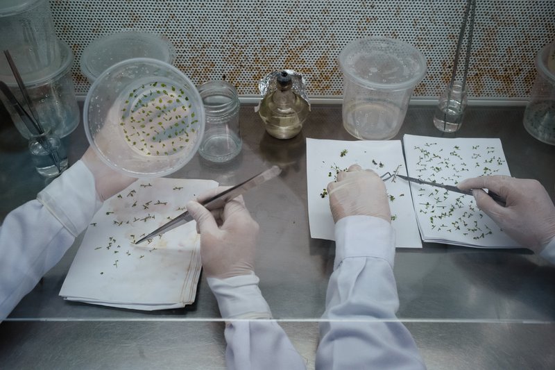 0c7f2a54-41e8-40b4-8a80-52961d3847f7