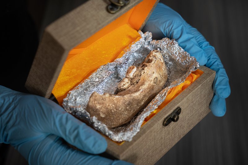 9995a2c0-e59f-4f49-9e24-f9d591548782