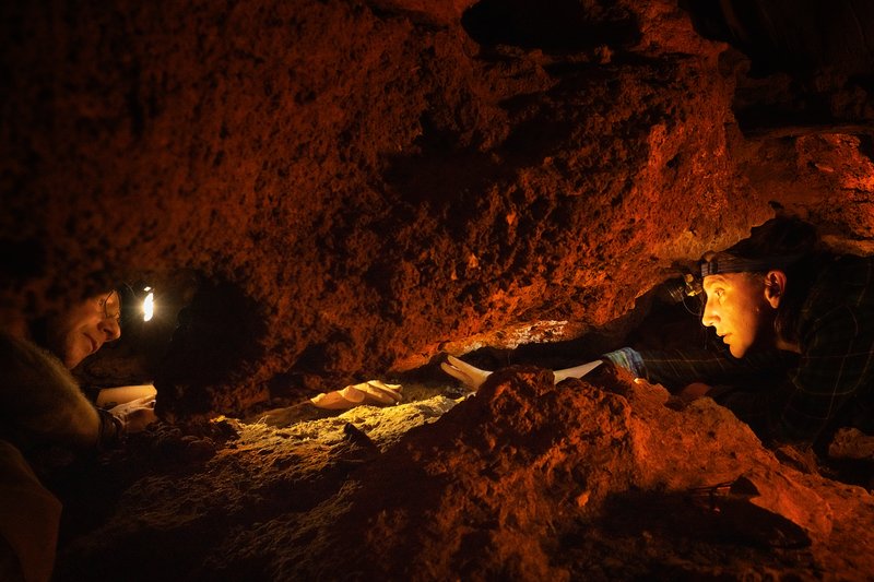 ff17898c-efde-4a17-be74-41e5fb6162cf